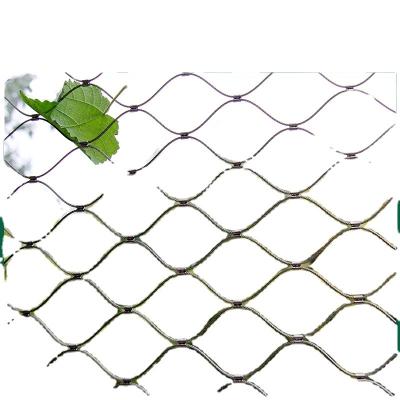 China Long Life Corrosion Resistance Light Weigh Beauty Enclosure Animal Plant Climbing Mesh for sale