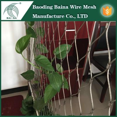 China Flexible 316 Stainless Steel Handwoven Flexible Zoo Mesh for sale