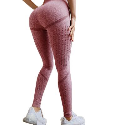 China XINYU antibacterial wholesale sports wear seamless high waist fintness yoga panty gaiters for sale