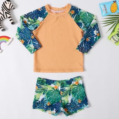 Κίνα Wholesale Breathable High Quality Baby Swimsuit Wholesale Long Sleeve Swimwear Kids Small Children Bathingsuit προς πώληση