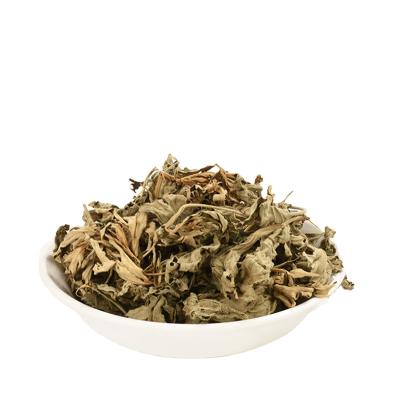 China Economical Natural Body Color Wormwood Leaf Dried Mugwort Moxa Leaves Herb for sale