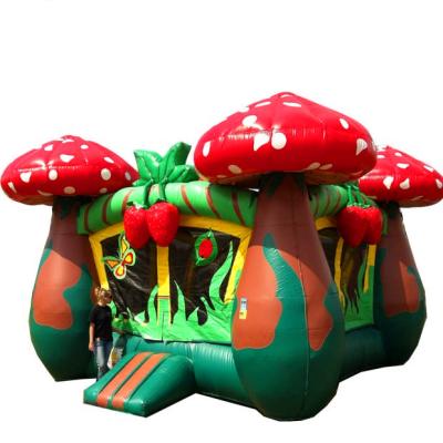 China PVC Kids Lovely Strawberry Shortcake Indoor Bounce House, Indoor Bounce House Jump, Custom Bounce House for sale