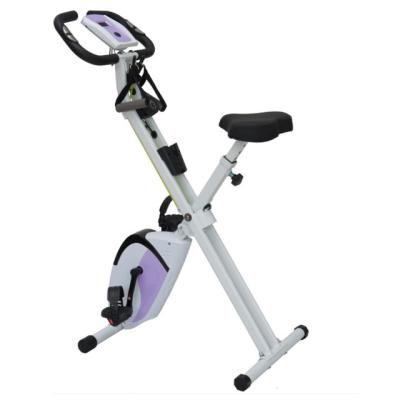 China XB3000 Home Use Fitness Equipment White Magnetic Exercise Bike For Home Use for sale