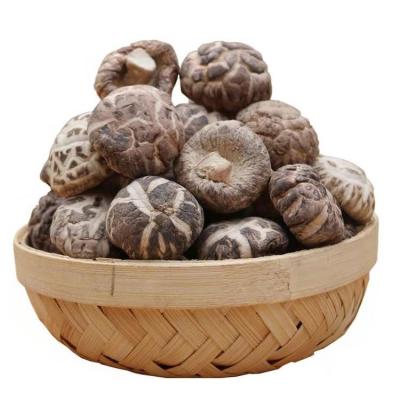 China Dried Healthy Selected Dried Hua Shitake Mushroom For Sale Packing for sale