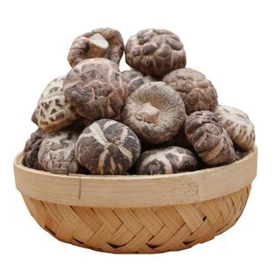 China Dietary Fiber Longevity Dried Umami Cultured Raw Organic Dried Shiitake Mushroom for sale