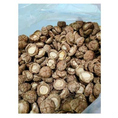 China High Quality Shitate Chinese Whole Dried Shiitake Dried Mushroom for sale