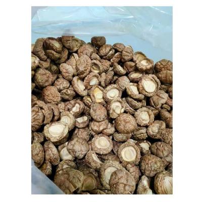 China Dried fresh shiitake mushrooms are shipped directly from the factory for cheap shiitake mushrooms for sale