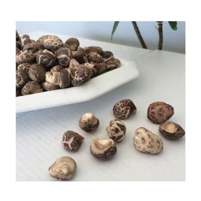 China Dried China factory wholesale good price shiitake dried flakes shiitake mushroom for sale