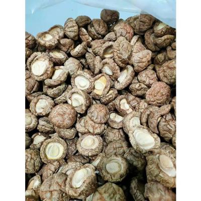 China Dried Easy operation flower shiitake mushroom of soup condiments at home for sale