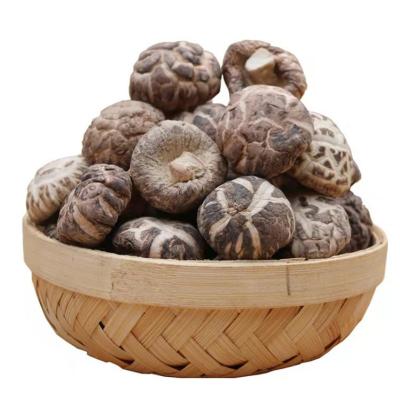 China Dry Dry Shiitake Mushroom Dried Food Shiitake Mushroom High Quality Wholesale Price for sale