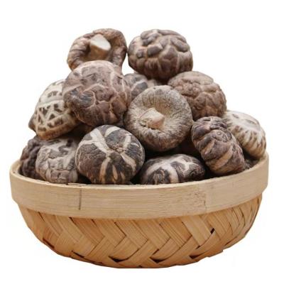 China New Dry Dry Shiitake Mushroom Mushrooms Dry Goods Dry Goods Wholesale Specialty for sale