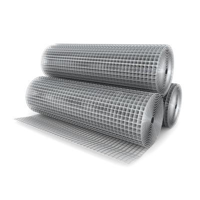 China Beautiful Galvanized Welded Wire Mesh For Garden Fence for sale