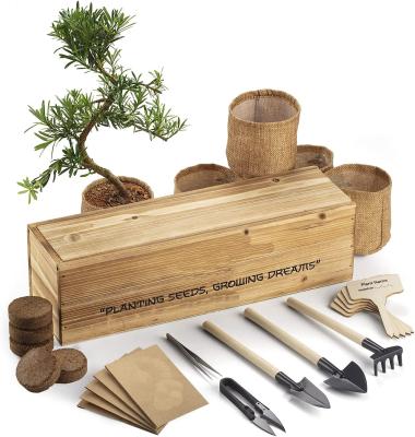 China Modern ornamental horticulture four kinds of luxurious long wooden box tools and shovels are complete bonsai grow kit for sale