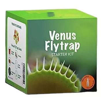 China Modern Easily Raise Your Own Venus Flytrap Herb Our Complete Beginner Horticulture Friendly Ornamental Starter Kit for sale