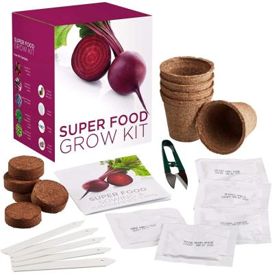 China Modern Ornamental Horticulture Particularly Chosen Salad To Grow Your Own Super Food Growing Kit Gift Box Grow Kit for sale