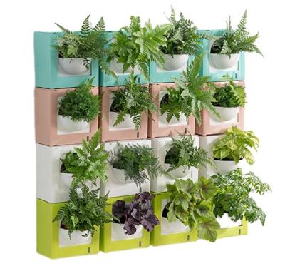 China Round Square Mini Decorative Plant Flowerpot Modern Wall Hanging Color Color for sale