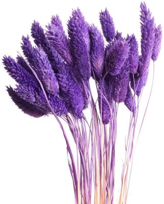 China Wedding Flower Arrangements HFlora 50 Stems Per Pack Wholesale Big Flower Jewel Dry Herb For Florist Home Wedding Decoration for sale