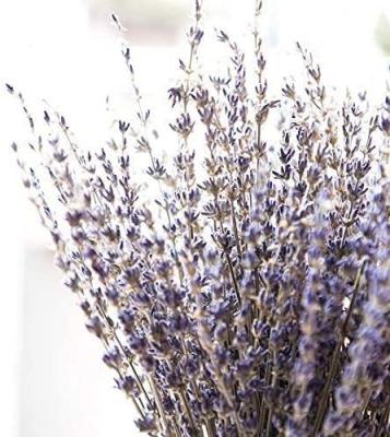 China Plant Supply Large Natural Preserved Flower HFlora 60cm Natural Preserved Lavender Bouquet 90g/Bundle For Home Wedding Decoration for sale