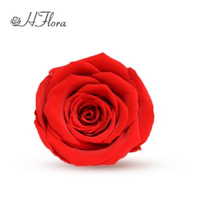 China Gift HFlora Maker Real Red 5-6cm Lasting Flower Heads Buds Eternal Preserved Roses For Wedding Graduation for sale