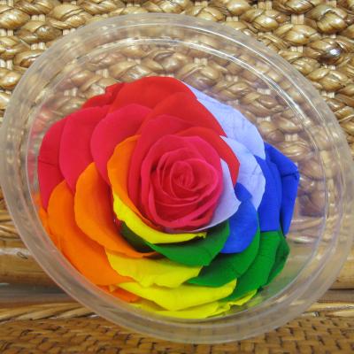 China DIY Rose Box Rainbow Rose Head Flower Forever Stabilized Eternal Preserved Rainbow Rose for sale