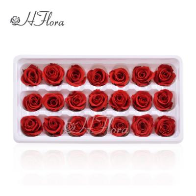 China Wholesale HFloral Decoration 2~3cm 21 Pcs Natural Preserved Durable Flower Head/Forever Box Roses For Florist Wedding Home Decor for sale