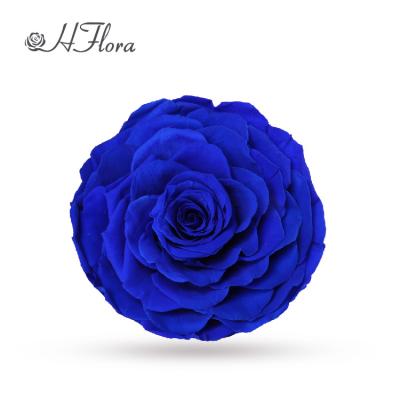 China Gift HFlora Yunnan Factory Wholesale Preserved Grade A Flower 9-10CM Roses For Wedding Decoration Roses for sale