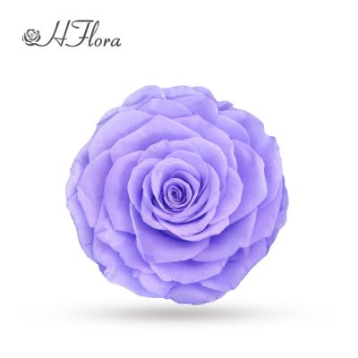 China Gift HFlora Yunnan 9-10cm Plant Wholesale Preserved Natural Preserved Roses A Graded Blooming Flower for sale