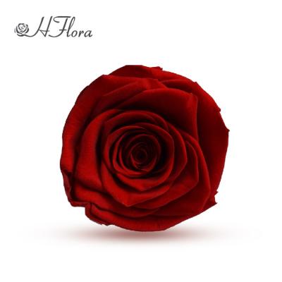 China HFlora Rosa Eterna Red Roses 6-7cm Flor Preserved Preserved Eternal Flower Gift for Christmas Decoration for sale