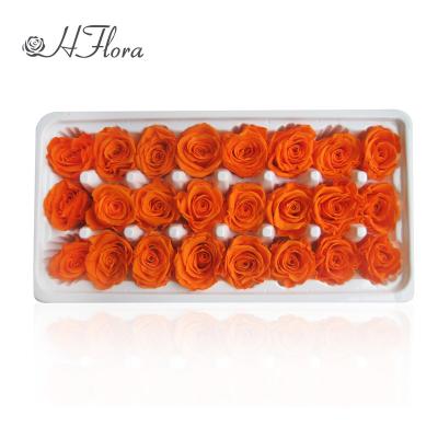 China HFlora Yunnan Wholesale Eternal Flower Rose Box Decoration Colorful Eternal Flor Eterna 2-3cm Gift Preserved Roses for sale