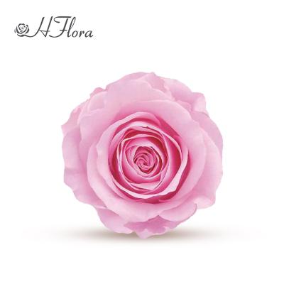 China Gift HFlora Yunnan Plant Wholesale 3-4cm Handmade Natural Perserved Forever Steady Flower Main Eternal Preserved Rose for sale