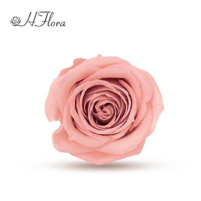 China Wholesale Gift HFlora Yunnan 3-4cm A Grade Preserved Roses Mini Head Roses Preserved Long Lasting Flower For Decortion for sale