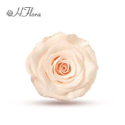 China HFlora Yunnan gift 3-4 cm plant flower wholesale true 3-4 cm natural preserved flowers for decorative colorful rose flower buds for sale