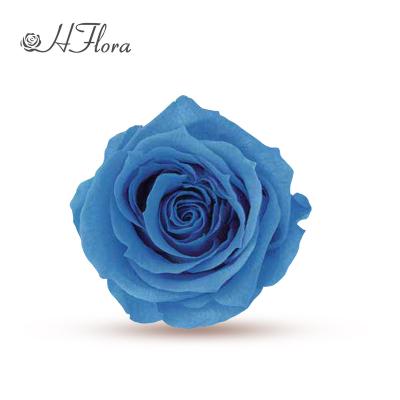 China HFlora Yunnan Kunming 3-4cm Wholesale Artificial Decoration Preserved Rose Buds Gift Real From China for sale