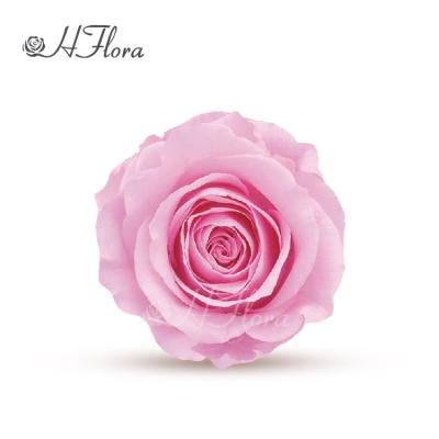 China Wholesale Fresh Natural Handmade Preserved Rose Rose Home Decoration Best Price 3~4 cm Artificial Flower Rose Heads for sale