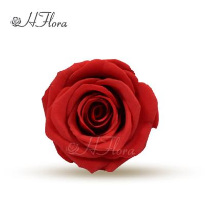 China Wedding Party Home Hotel Decoration HFloral Factory Supply 8pcs/box 4~5cm Perpetual Natural Single Color Preserved Rose Head With Box For Valentine's Day for sale