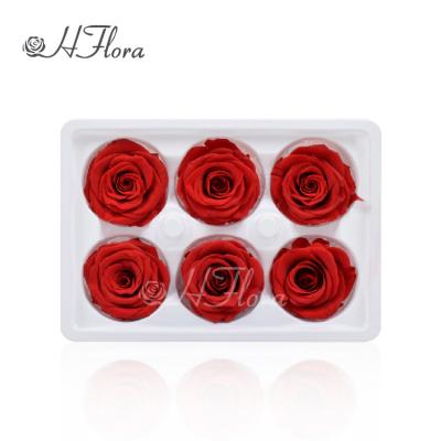 China Decoration Fashion Design 6 Eye-Catching Heads Rose Preserved Rose Bud 5~6 Cm For Christmas Valentines Gift for sale