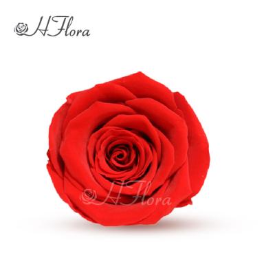 China Gift HFlora Yunnan Plant High Quality 5-6cm Dried Real Natural Touch Preserved Eternal Roses Heads Buds For Gift Box for sale