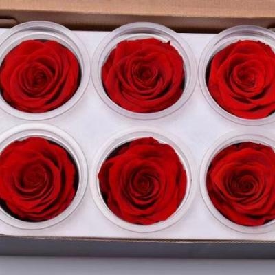 China DIY Gift 2021 Trending Products Open Material Flowers Preserved Roses Head With High Quality for sale