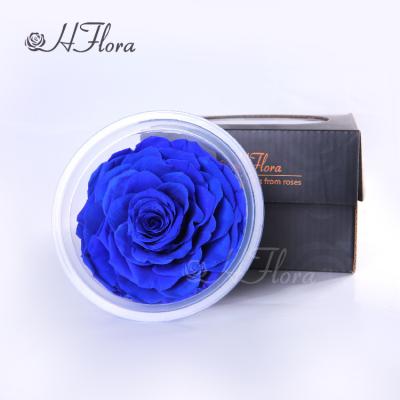 China Wholesale Price Natural Fresh Flower Preserved Rose Buds 9~10 cm Tall Preserved Rose Flower Japanese for sale