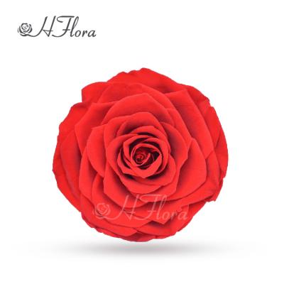 China Wholesale Elegant HFloral 9~10cm Natural Simple Color 1pcs/box Wedding Party Hotel Home Decoration Preserved Forever Rose Head With Box For Valentine's Day for sale