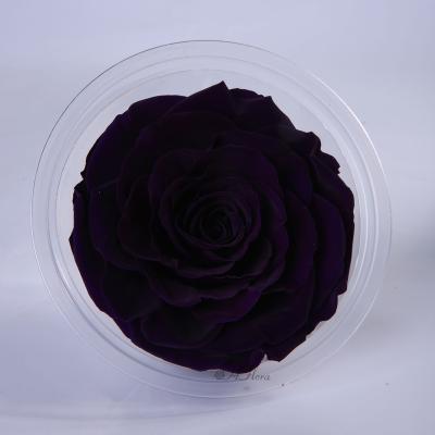 China Wedding Flower Roses Preserved Flower Black Rose Preserve High Quality Eternal Flower Arrangements Manufacturer HFloral for sale