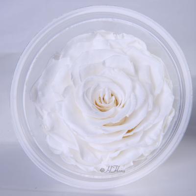 China HFloral Gift Wholesale 1pcs/box 11-12cm Perfect Everlasting Natural Decorative Rose Head 60+ Colors Dry Single Colors for sale