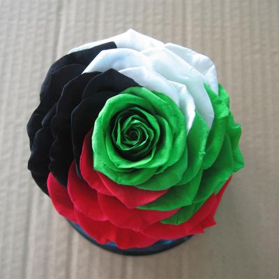 China Four-color 1pcs/box High Quality Elegant Natural HFloral 9~10cm Wedding Party Hotel Home Decoration Real Preserved Forever Rose Head With Box For Valentine's Day for sale