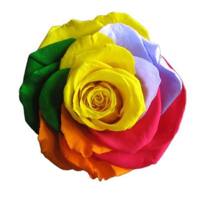 China Hot Sale 6~7cm 6pcs/box Forever Real Elegant Natural Colorful HFloral Preserved Rose Head Wedding Party Hotel Home Decoration With Box For Valentine's Day for sale