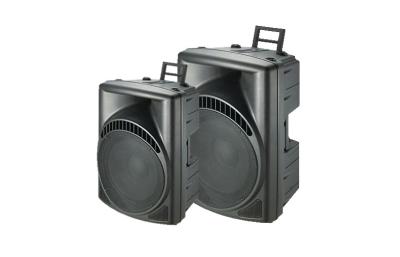 China 15 Weise des Zoll Subwoofer-Sprechers 2, passiver GESPROCHENER Plastiksprecher zu verkaufen