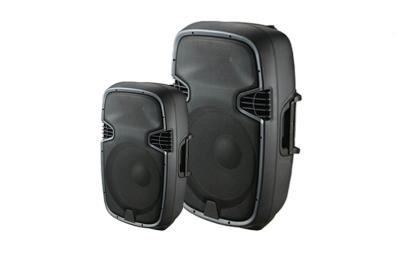 Cina Combinato attivo di plastica della scatola dell'altoparlante dell'altoparlante a 15 pollici bidirezionale del Subwoofer PARLATO in vendita