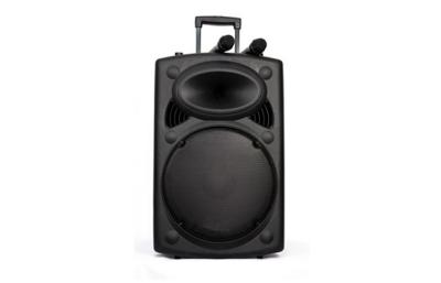 China Active 15 Zoll Subwoofer-Sprecher Portable, drahtlose Berufstonanlage zu verkaufen