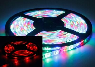 China Amarillo rojo 3528 del verde azul CE flexible/ROHS de 5050 de SMD LED luces de tira en venta