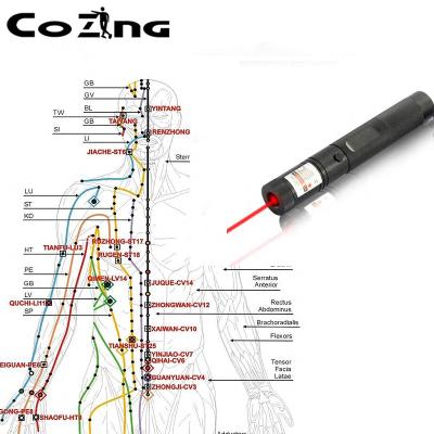 China Portable Physiotherapy Home Use COZING Acupuncture Electric Laser Pen For Pain Relief for sale