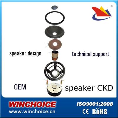 China Speaker parts CKD WSP150100system for sale